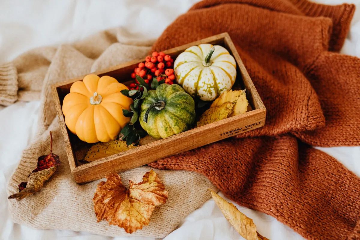 The Cozy Home Checklist: 15 Seasonal Updates for Autumn